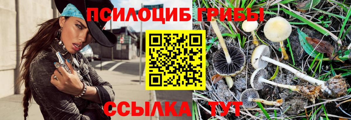 Псилоцибиновые грибы Psilocybine cubensis  Псилоцибиновые грибы мицелий  Вход с VPN  Сафоново 