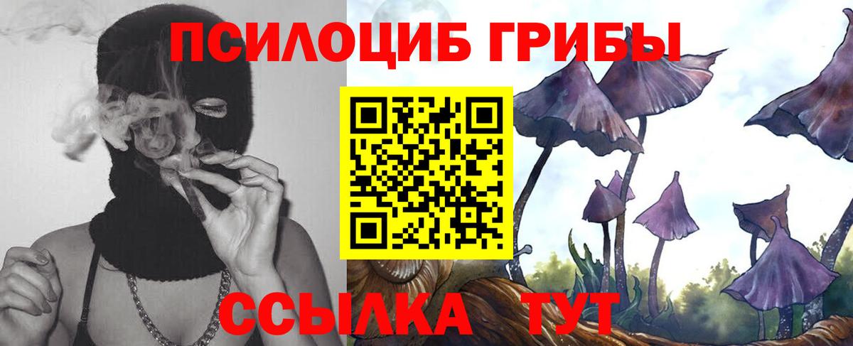 Псилоцибиновые грибы ЛСД Сафоново